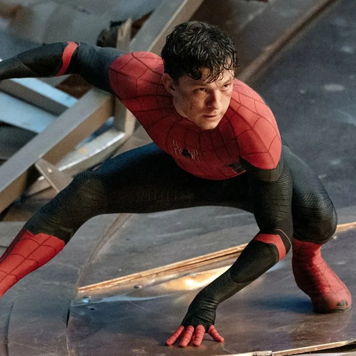 Tom Holland explains why Spider-Man: Brand New Day faced a production dela
