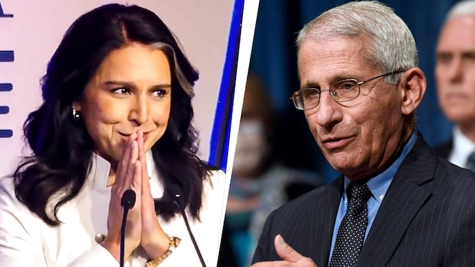 Tulsi Gabbard and Anthony Fauci