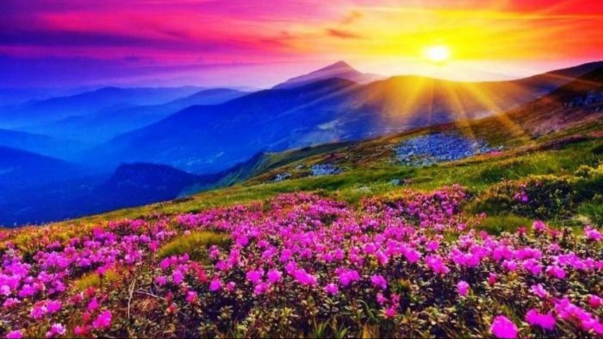 UNESCO's Valley of flowers opens for visitors in Uttarakhand till October 31
