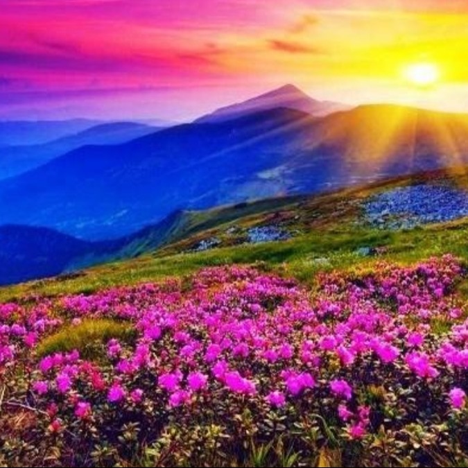 UNESCO's Valley of flowers opens for visitors in Uttarakhand till October 31
