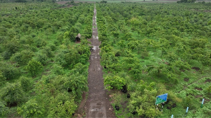 World Environment Day is observed globally on June 5 under the United Nations Environment Programme. Vijayapura Transforms from Arid Land to Green Haven with 15 Million Trees in Karnataka