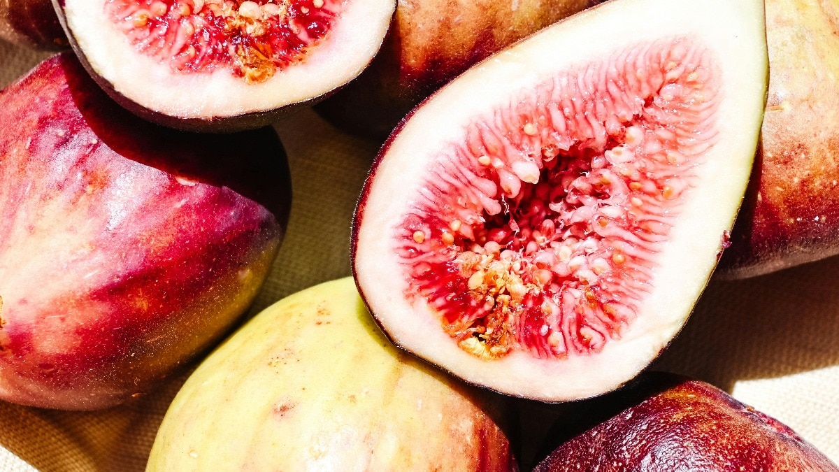 Which is the oldest fruit in the world? No, it's n