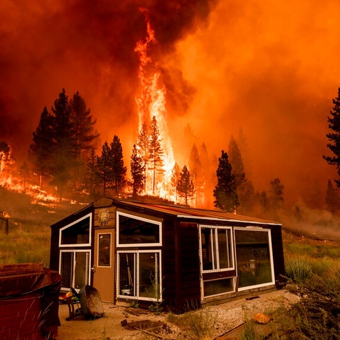 Warning signals everywhere: UN chief’s climate alarm on Environment Day