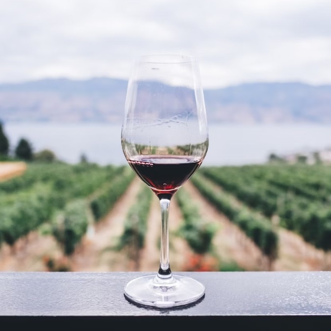 Think a daily glass of wine is healthy? New evidence suggests otherwise