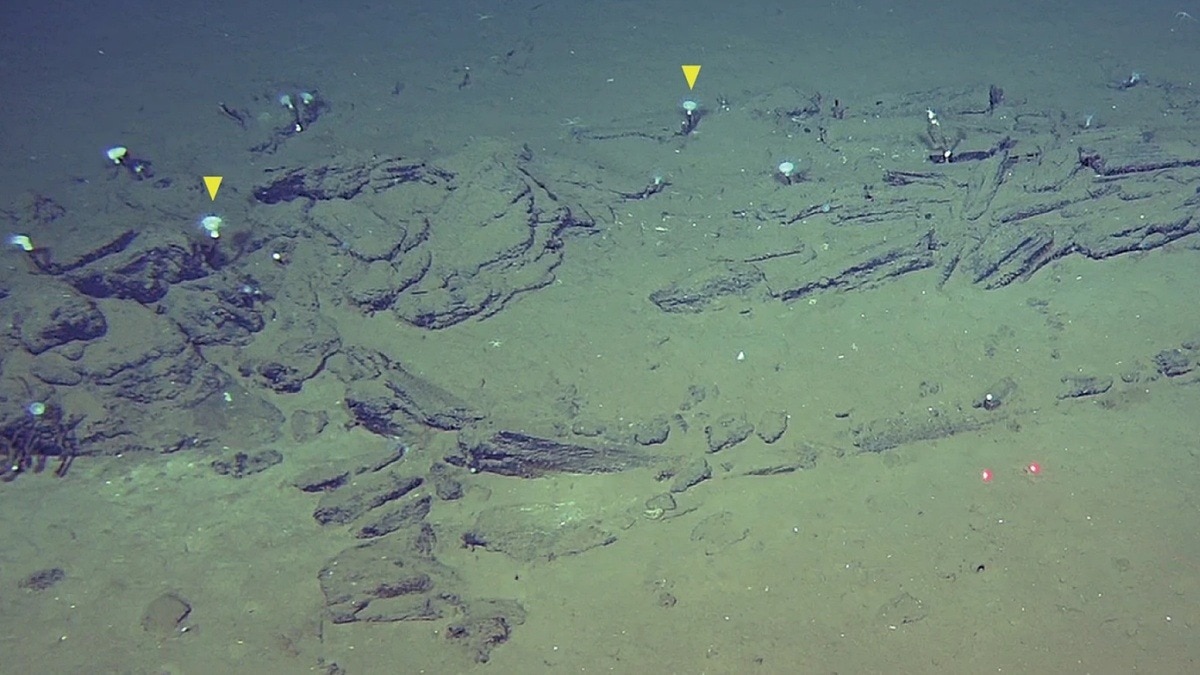 World's deepest graveyard