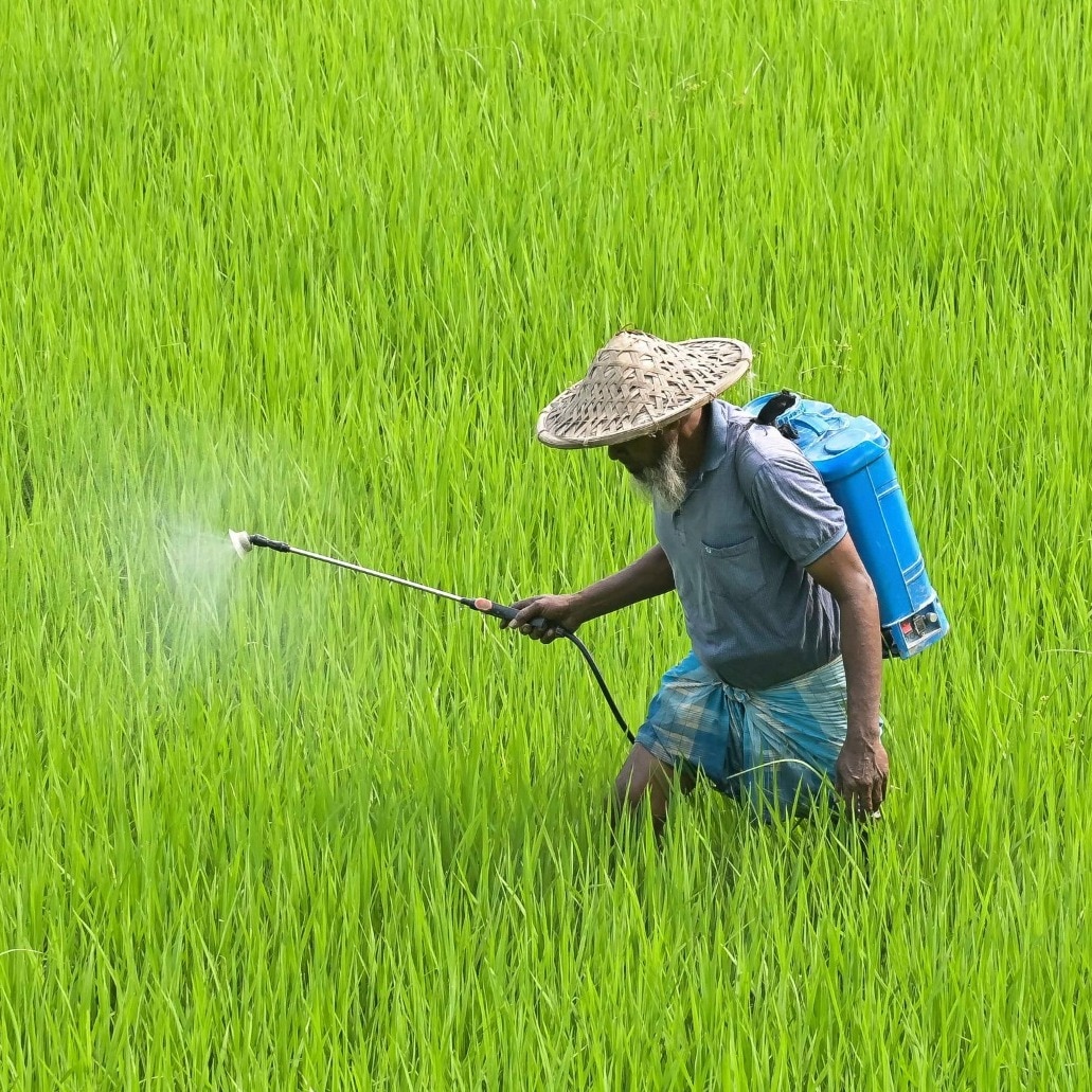 India bans paraquat, weeds out biggest poison from its agricultural fields