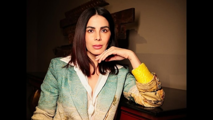 Actor Kirti Kulhari loses Rs 2.44 lakh in credit card fraud, complaint filed