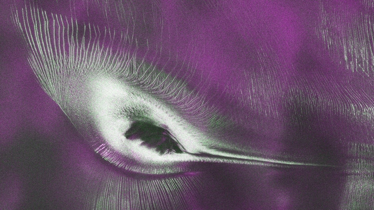 Nisar satellite captures a giant bird in Antarctica. Here's what it is