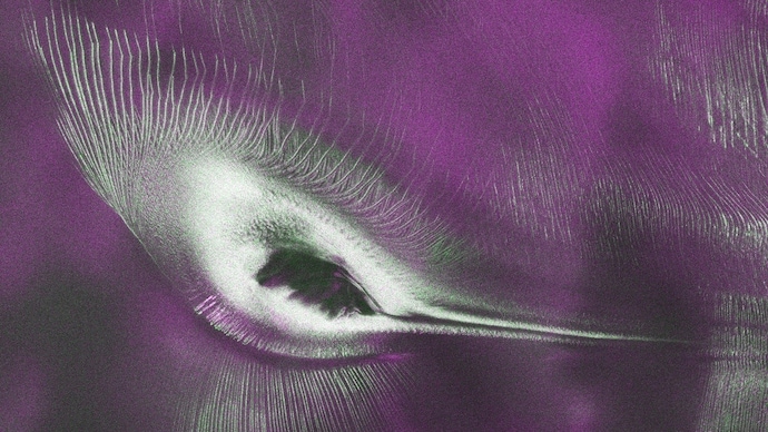 Antarctica hummingbird