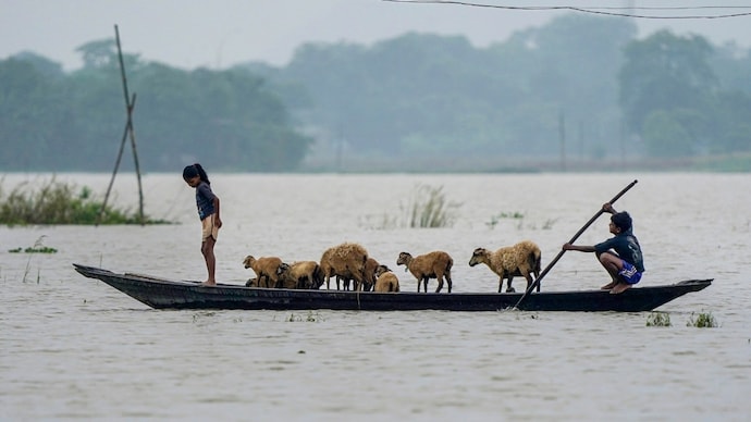 असम में बाढ़ की वजह से इंसान और वन्यजीव दोनों संकट में (Photo: PTI)