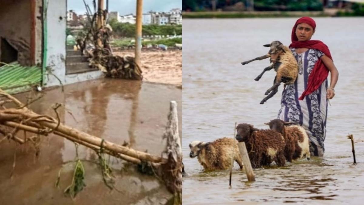 Assam floods claim 21 lives in a day, toll rises to 31; over 5.64 lakh affected