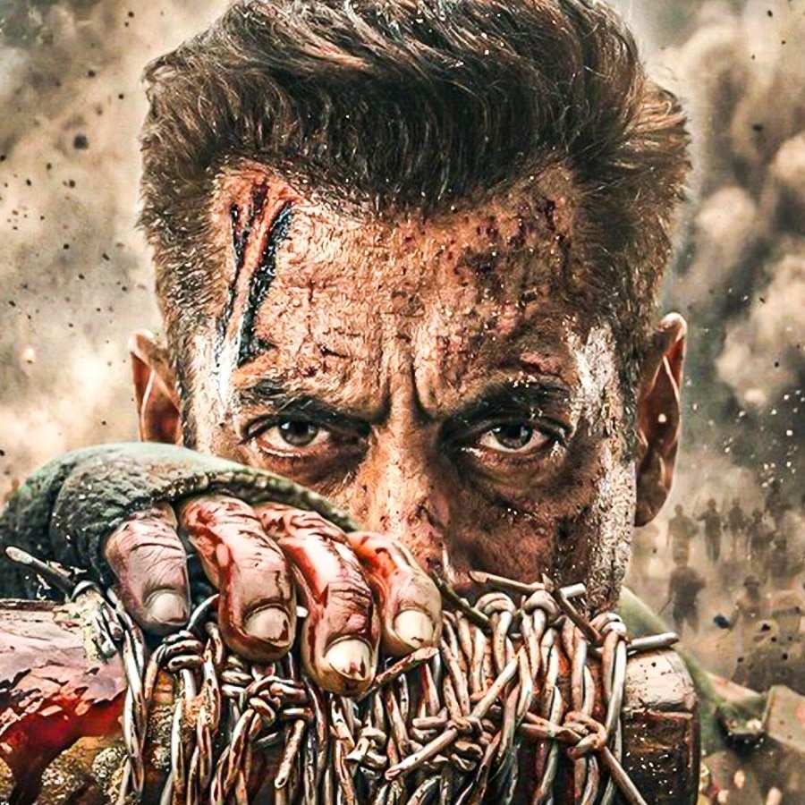 Salman Khan's Maatrubhumi to release in 2027? Here's what we know