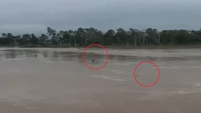 2 boys swept away after jumping to bathe in swollen river in UP