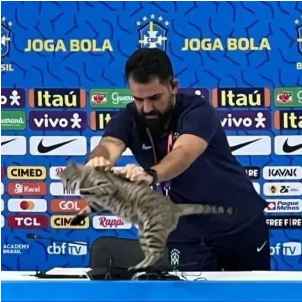 Brazil's World Cup exit has fans saying, 'the cat curse lives on'