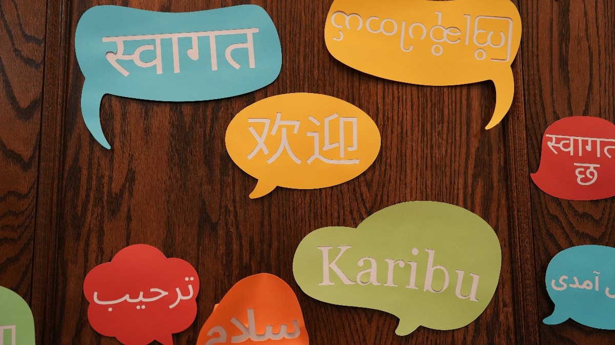 English alone may not be enough. Experts unveil language formula for global careers