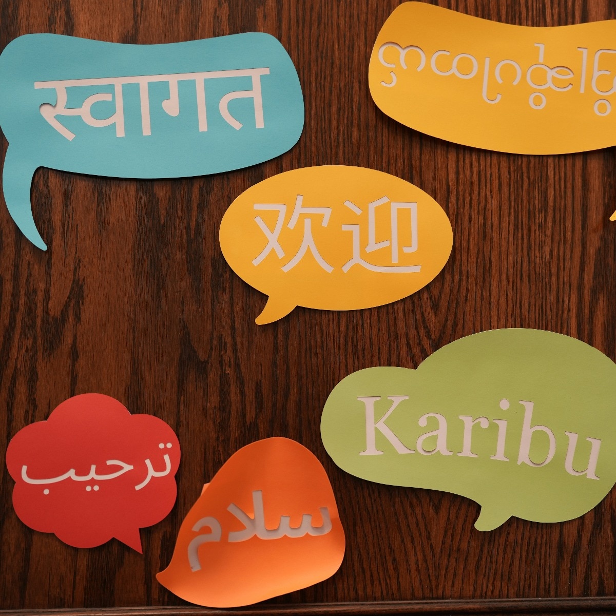The new language formula for 2030: Indian languages, English, plus one smart choice