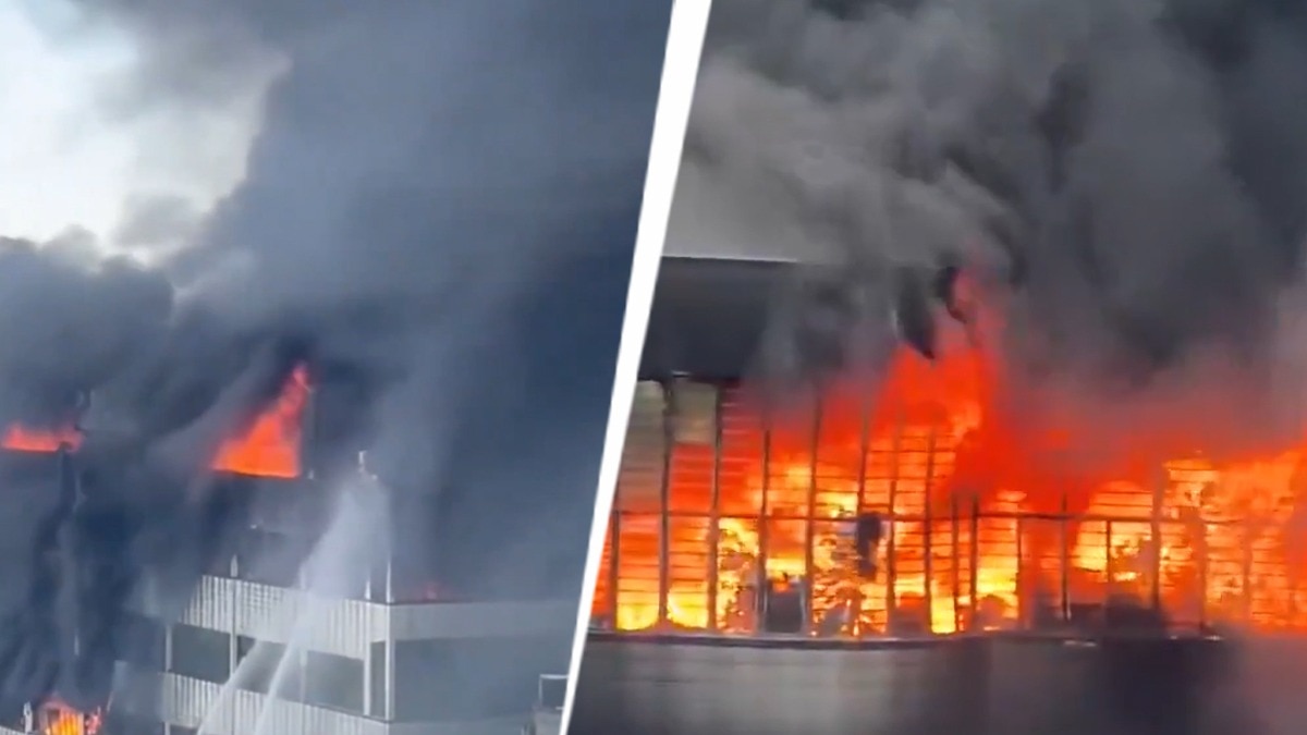 Video: 28 killed in massive factory fire in China's footwear manufacturing hub