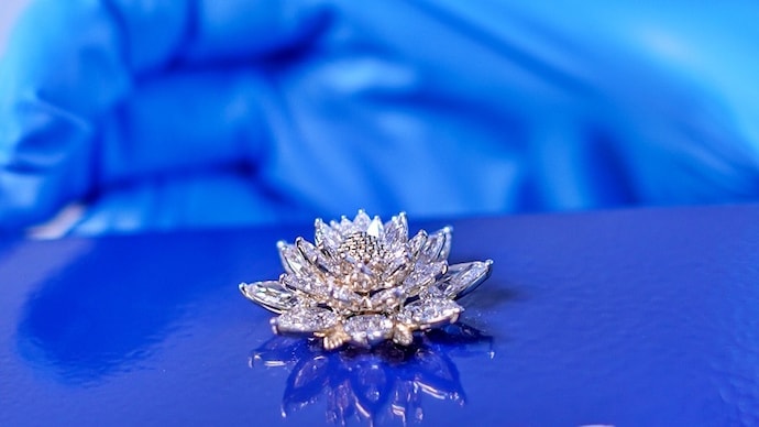Cosmos Diamond vikram-1