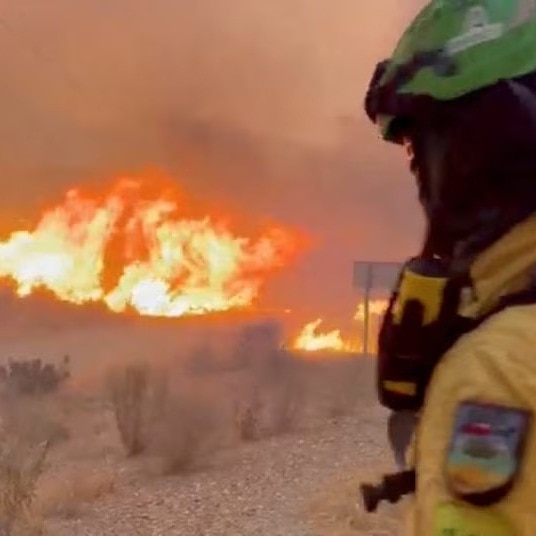 Deadly Spain wildfire leaves 11 dead, hundreds of firefighters battle blaze