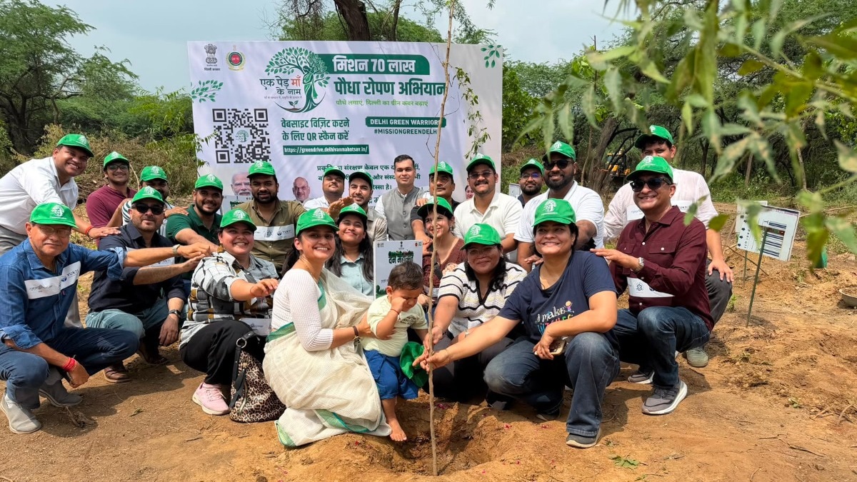 Delhi govt launches massive greening drive, to plant 70 lakh saplings this year