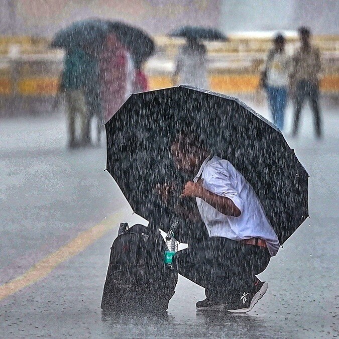 Delhi paralysed after torrential rain; roads turn to rivers, trees uprooted, 3 dead
