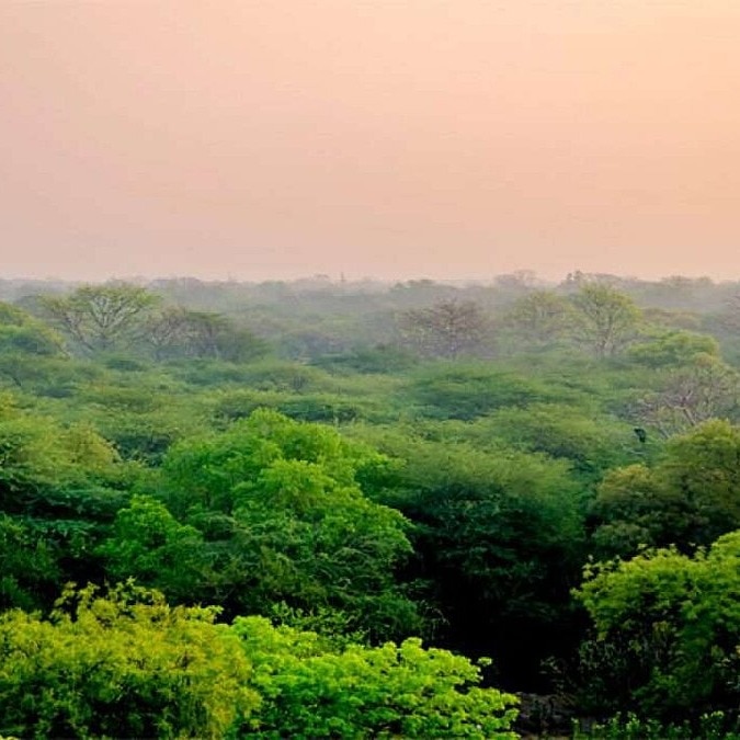 Delhi to restore 8 ridge water bodies for groundwater recharge, wildlife support