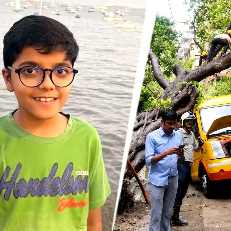 Mumbai Mayor rejects BMC report on tree collapse, seeks action in boy's death