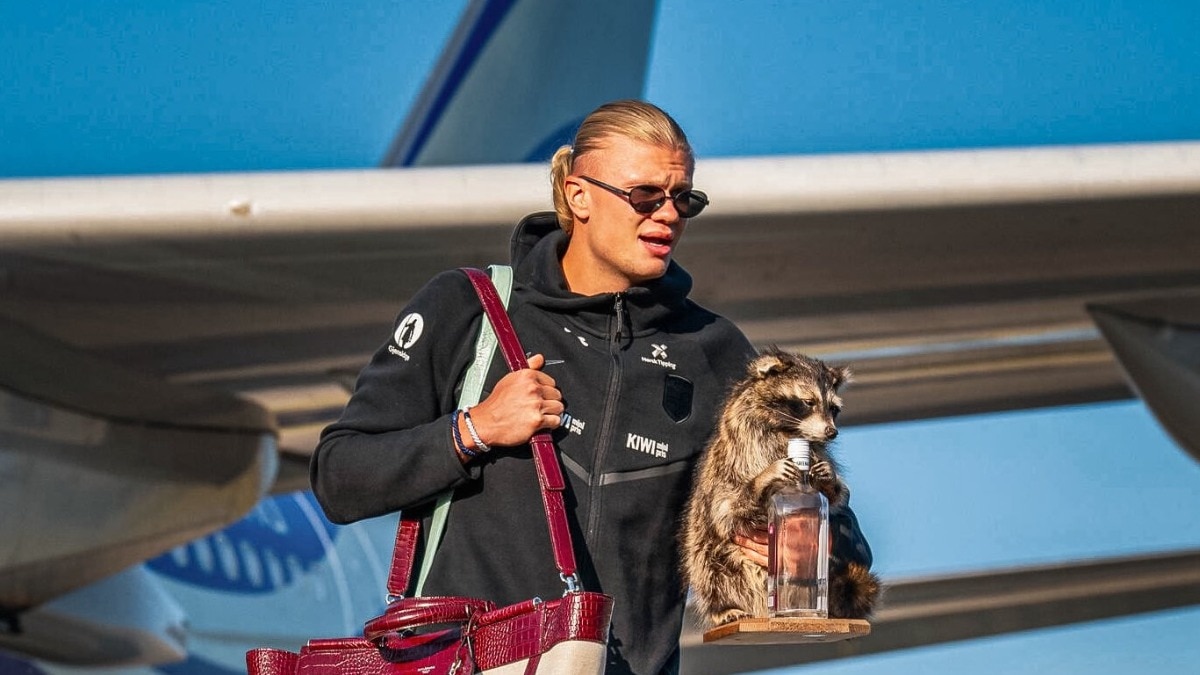 FIFA World Cup: Erling Haaland returns from the US with a raccoon, breaks the internet