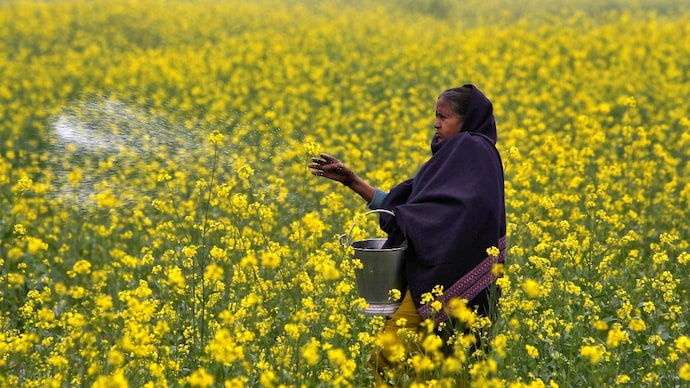 Fertiliser supply RTI response