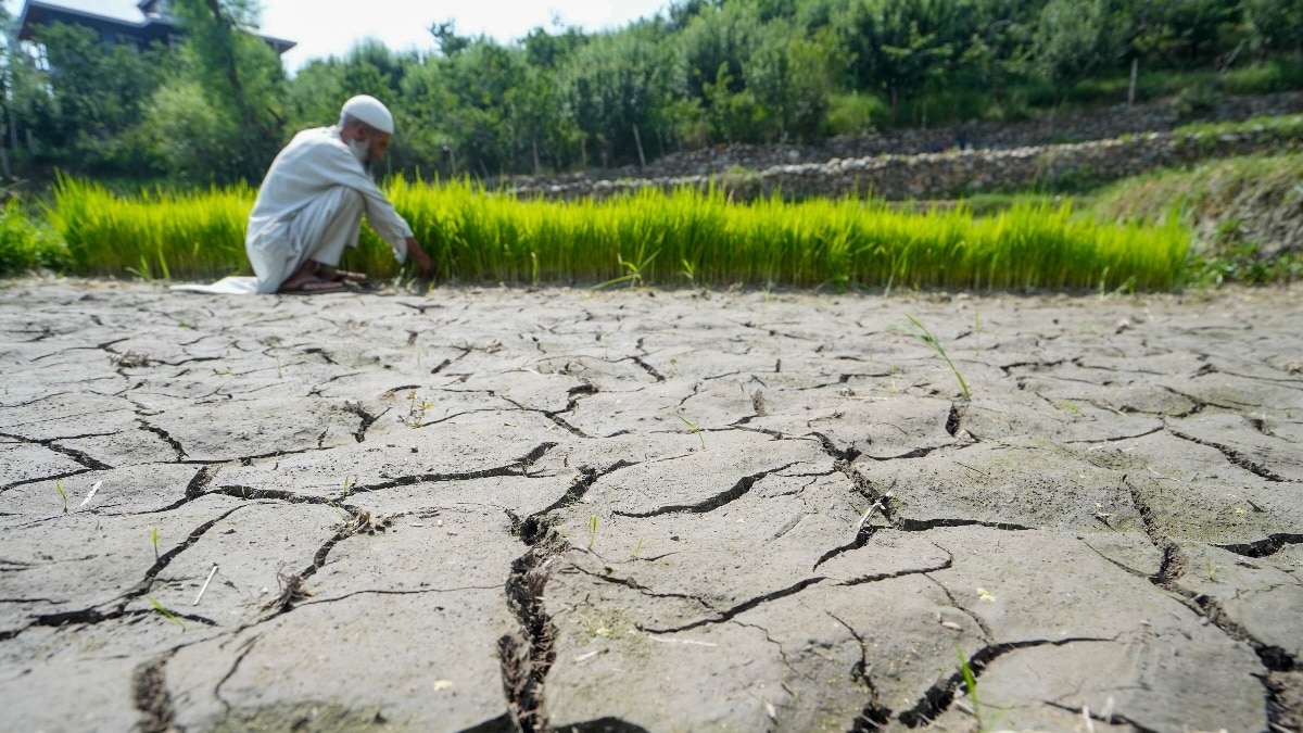 Govt monitoring drought risk: Amit Shah as India faces one of driest June since 1901