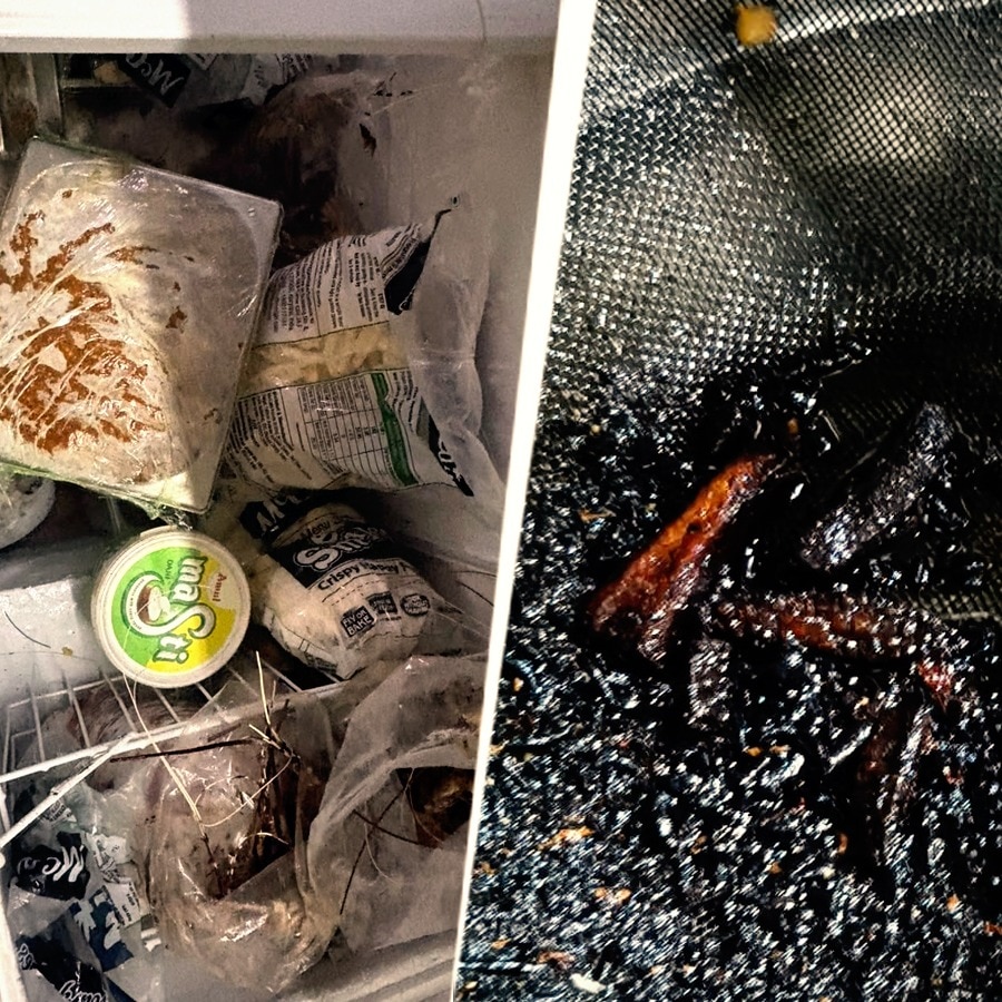 5 Mumbai clubs face food safety action: FDA releases pics, list of violations