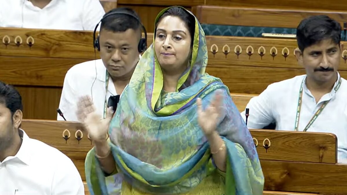 Crocodile tears in Delhi, zero action in Punjab: SAD MP targets AAP over paper leaks