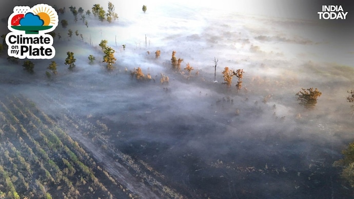 France's wildfires haven't reached Bordeaux's vineyards. Climate change has