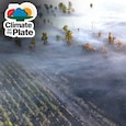 France's wildfires haven't reached Bordeaux's vineyards. Climate change has France's wildfires haven't reached Bordeaux's vineyards. Climate change has