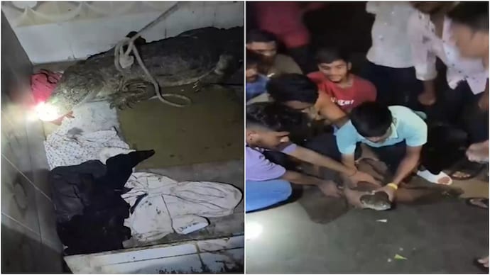 gujarat bathroom crocodile