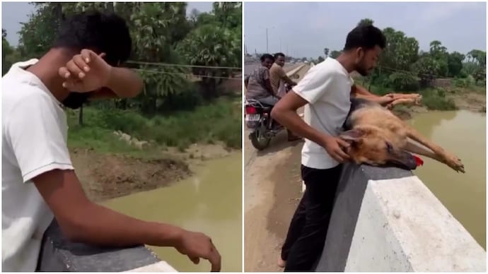 Heartbreaking video shows man 'burying' dead dog by dumping it into river