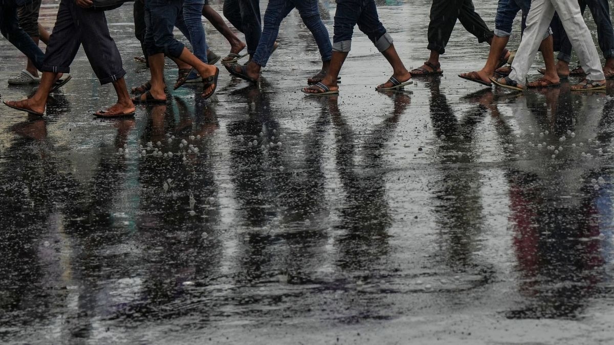 Odisha Red Alert: IMD Warns of Heavy Rain Across East and Northeast India