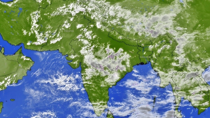 India's monsoon is reviving after a largely dry June 2026, with rain set to spread across central and northern states. (Photo: Windy)