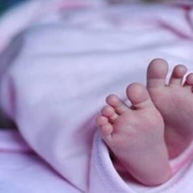 Rajasthan woman delivers quadruplets at Jhalawar government hospital
