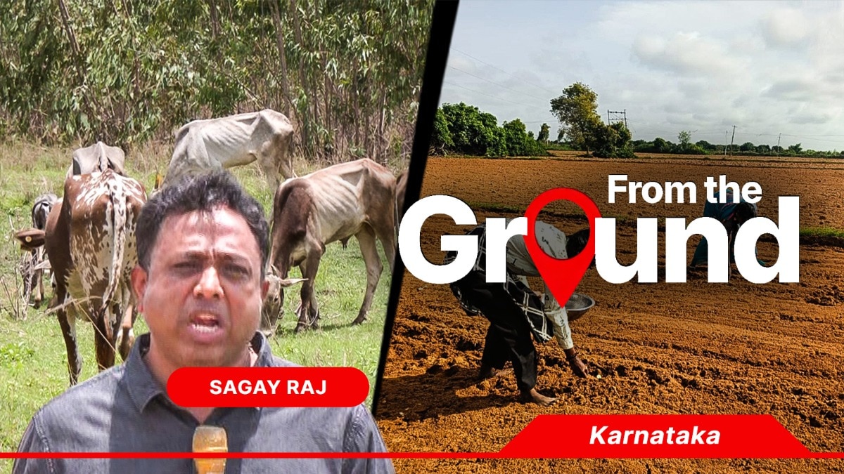 Karnataka stares at drought as monsoon falters; 21 districts record rain deficit