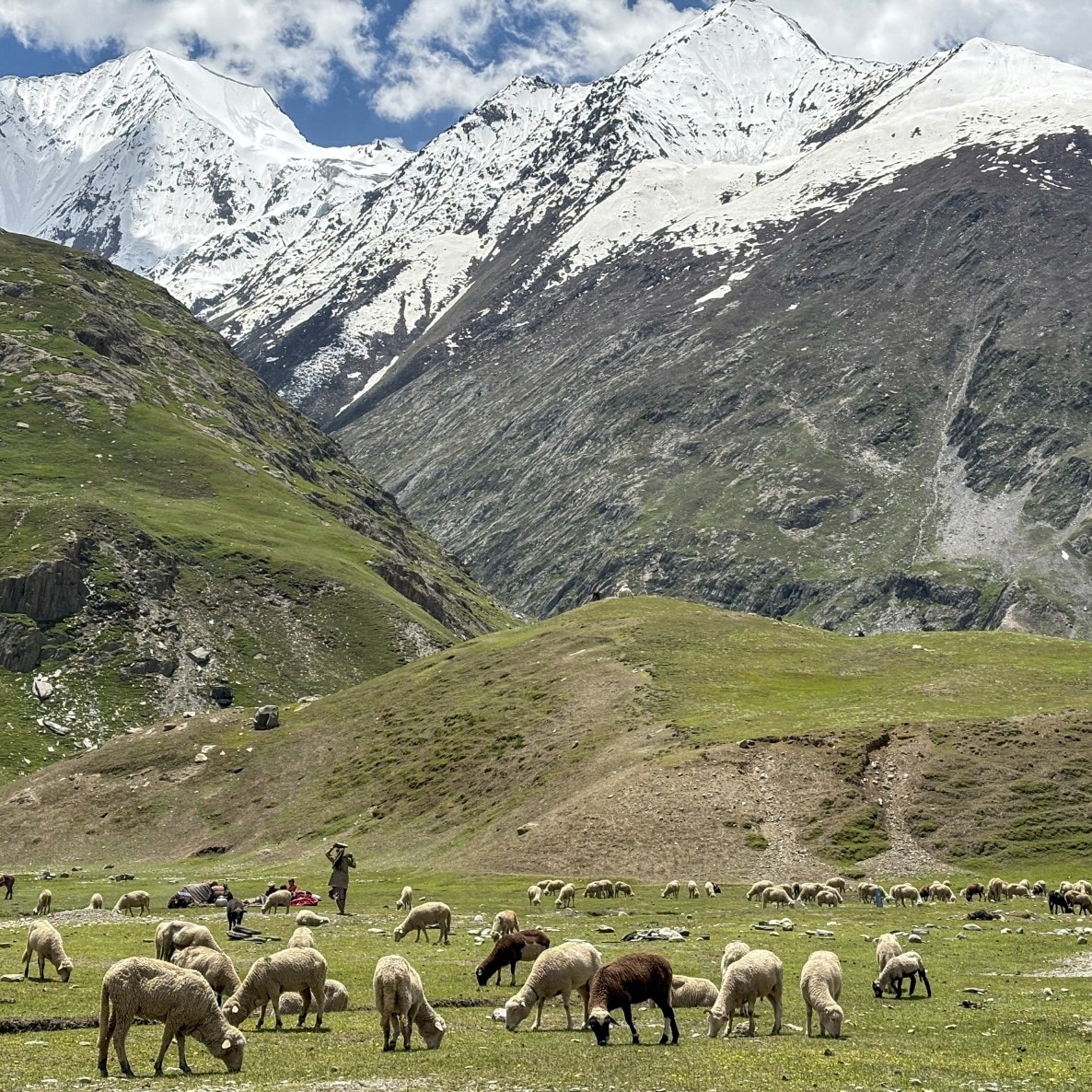 12 bikers, SUV driver fined for off-roading in Ladakh's protected wildlife zones