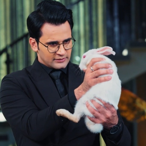 Jealous husband 'cooks' wife's pet rabbit on ZeeTV show, internet is traumatised