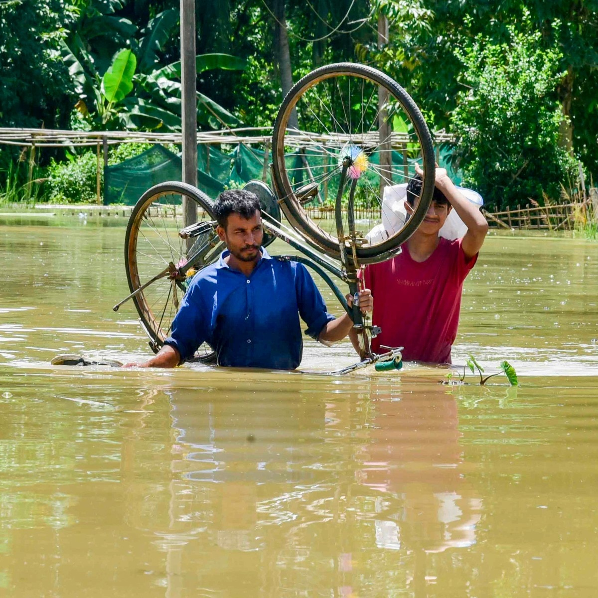 Monsoon turns fatal: Floods kill at least 41 in Assam; Gujarat faces extreme rain