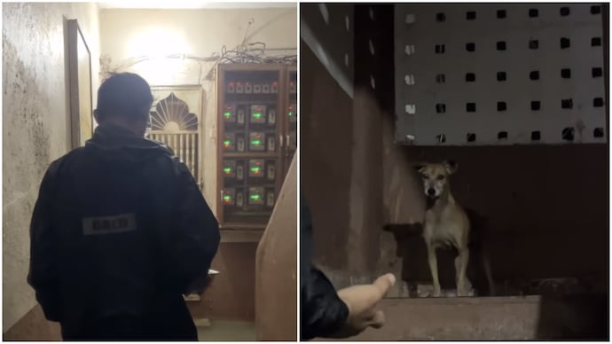 Mumbai man finds stray dog hiding from rain amid floods, his next move wins hearts