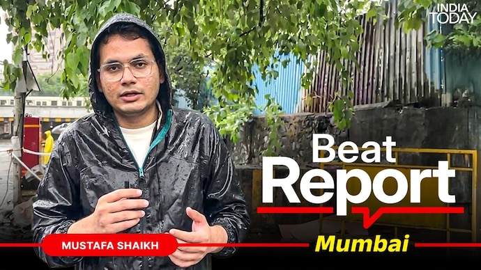Mumbai tree-fall surge sparks debate over road concretisation project. Mumbai tree-fall surge sparks debate over road concretisation project.