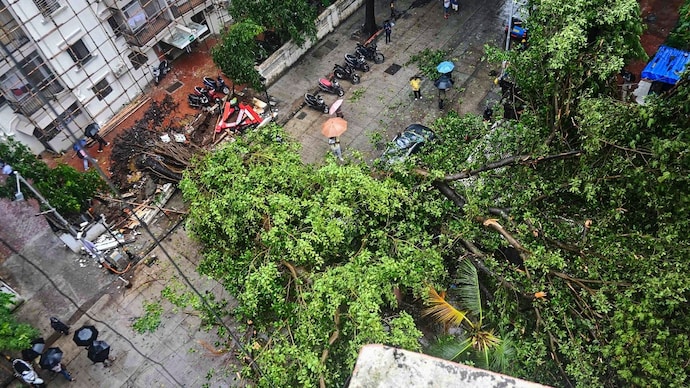 An uprooted tree blocks the vehicular movement on a road after heavy rain, near Churchgate station in Mumbai. (Photo: PTI) Mumbai Tree falling incident monsoon rain