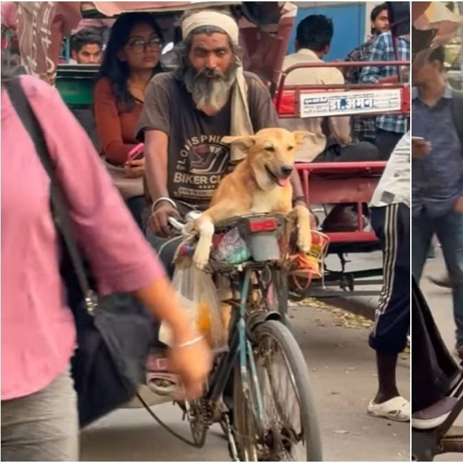 Meet the Noida rickshaw puller who takes his street dog to work every day