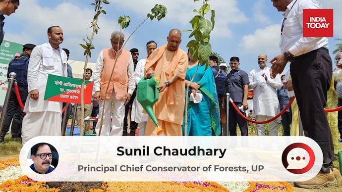 On World Environment Day this year, five crore saplings were planted in a single day in UP.