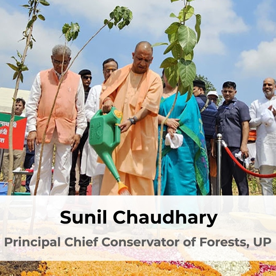 On World Environment Day this year, five crore saplings were planted in a single day in UP.