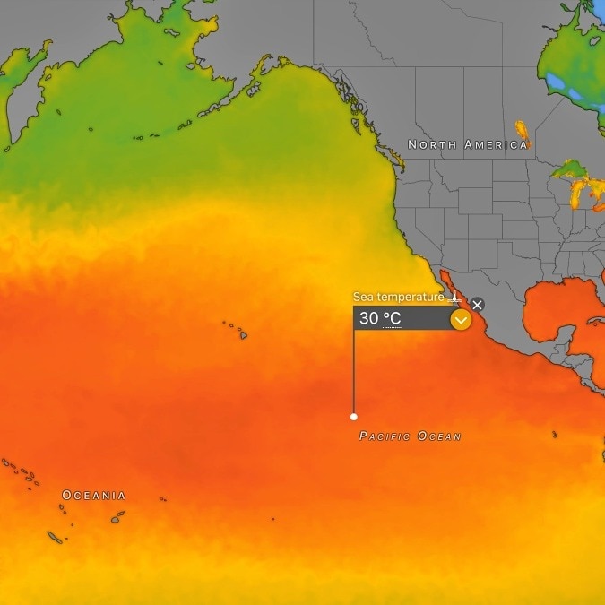 El Nino: Pacific Ocean has a fever, and no one has the cure